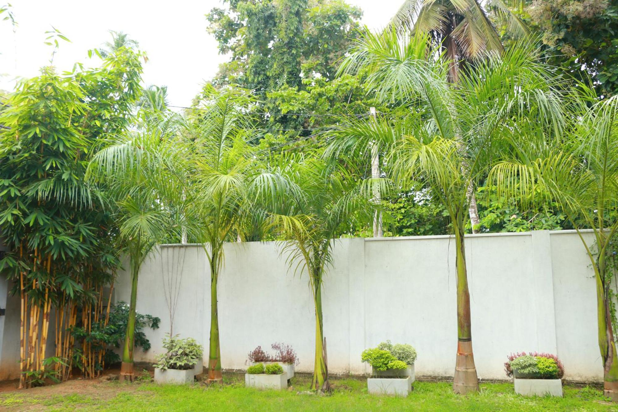 Venus Heaven Luxurious Villa Tangalle Extérieur photo