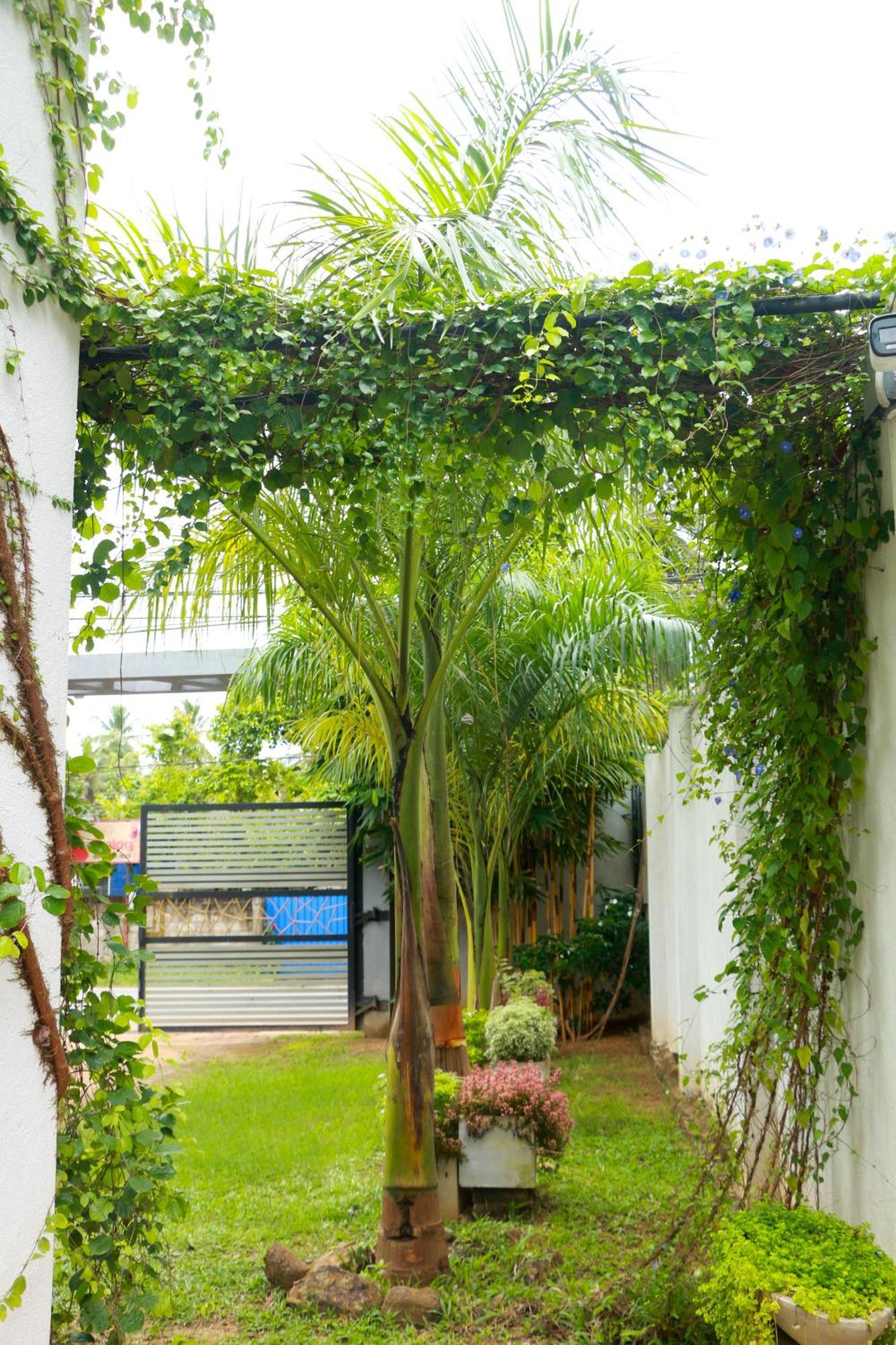 Venus Heaven Luxurious Villa Tangalle Extérieur photo
